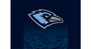 Ravens